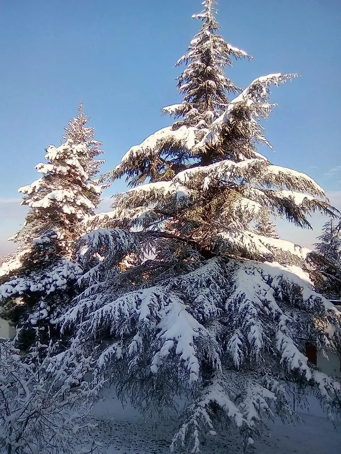 Casa di campagna B&B Serra Pineta Serramazzoni